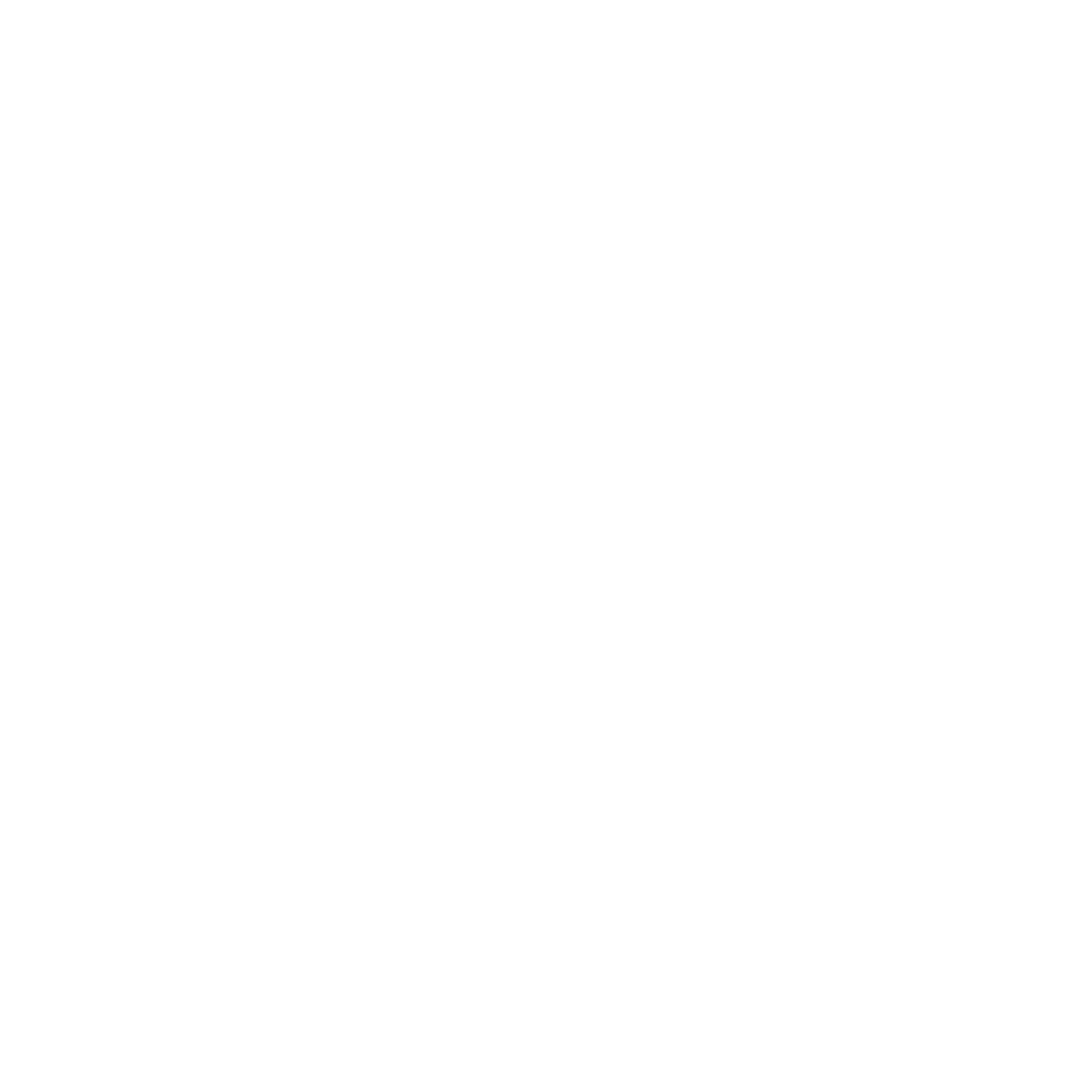 Spice Travel Monochrome Logo