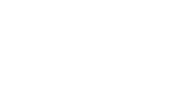 Spice Travel Monochrome Logo